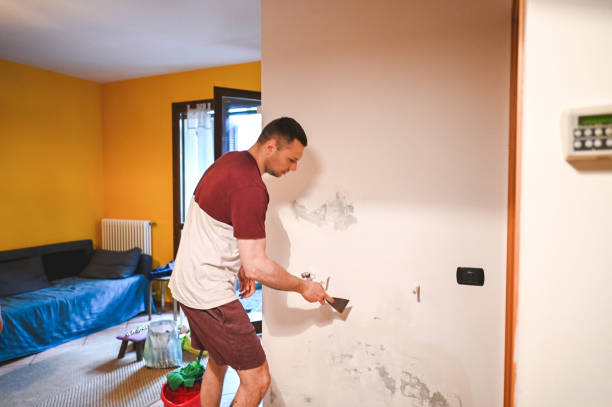 Best Same-Day Mold Removal  in Saddle Rock, NY